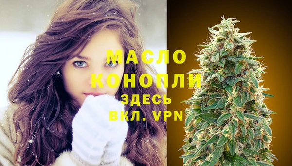 молекула духа Богородицк