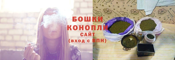 молекула духа Богородицк