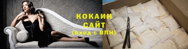 молекула духа Богородицк